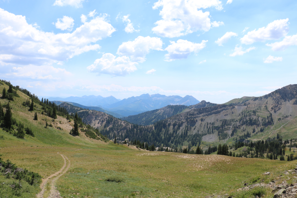 Utah Mountains Trail